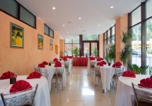 Hotel Anda Sinaia - restaurant