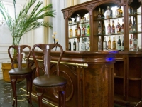 Hotel Caraiman Sinaia - bar