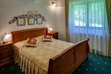 Hotel Regal Sinaia - apartament
