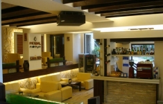 Hotel Casa Teo Sinaia - bar