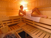 Hotel Cabana Vanatorilor Predeal - sauna